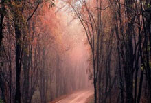 [乒乓球]国乒小将资格赛首轮获胜.