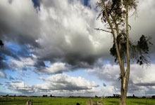 尹波：汉堡50万欧元求购王钰栋？想起谢文能留洋比甲.