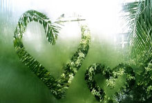 库明加休战穆迪又活了！近两场19中11砍30分！网友：小库别回来了.