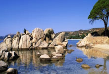 欧博：[德甲]第6轮：柏林联VS多特蒙德.